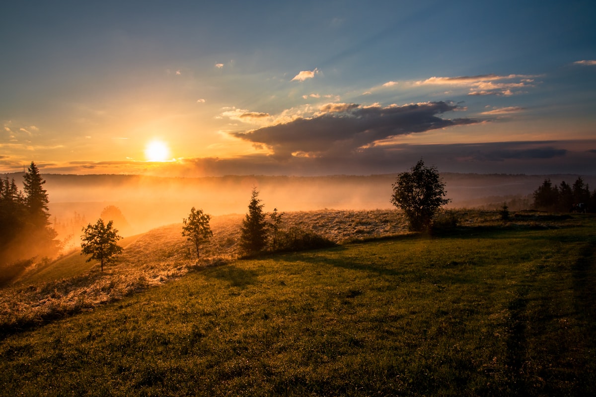 Best Sunrise Alarm Clocks Uk