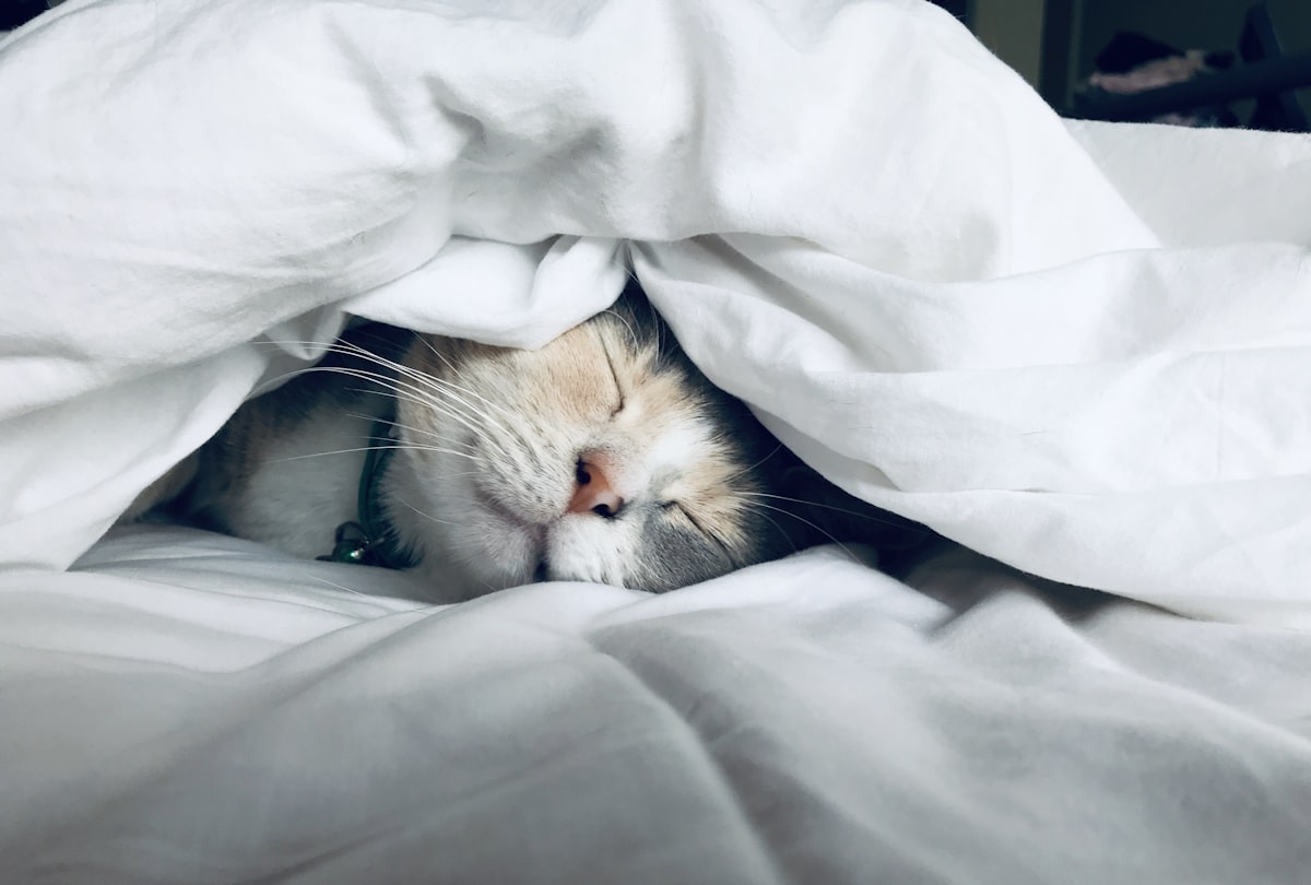 Person lying awake in bed at night with racing thoughts